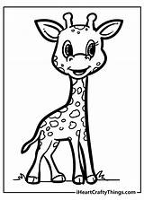 Giraffe Markers Fluorescent Colored sketch template