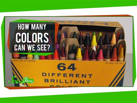 human eye coloring page crayola answers fixed vegan