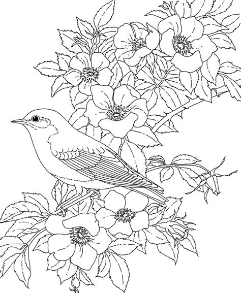 coloring pages  adults flowers detailed flower coloring pages