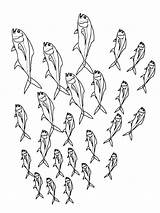 Poissons Vissen Banc Kleurplaat Fish Kleurplaten Ausmalbilder Fisch Pesci Malvorlagen Poisson Dieren Malvorlage Imprimer Fishes Ausmalbild Des Animati sketch template
