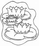 Lily Coloring Pad Pages Kids Printable Gif Frog Flower Water Flowers Lilypad sketch template
