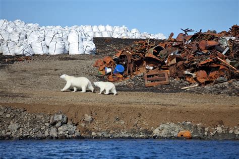 gefaehrdung der arktischen umwelt umweltbundesamt