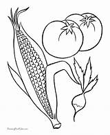 Corn Coloring Pages Printable Indian Fruit Cob Popular Coloringhome Library Kids Comments Outline Related sketch template