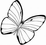 Butterfly Coloring Simple Pages Drawing Kids Getdrawings sketch template
