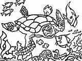 Coloring Pages Mola Animal Getdrawings Getcolorings Kenya sketch template