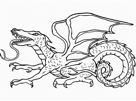 dragon coloring pages easy activity shelter