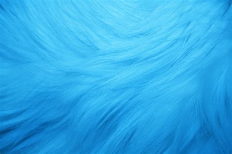 blue fur wallpaper gallery