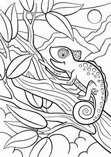 Chameleon Kameleon Dieren Wilde Kleurplaten Camaleonte Selvatici Schattige Kolorowanki Bestcoloringpagesforkids Siede Carino Piccolo Chameleons Camouflage Dzieci Mayka Wydrukowania sketch template