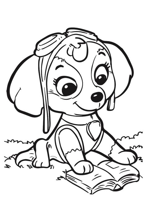 paw patrol skye coloring pages   page coloring  book