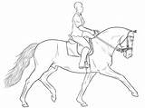 Dressage Lineart Dressur Morda Gaited Pferde Base Animal sketch template