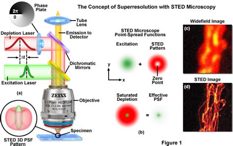 wise silence stimulated emission depletion sted microscopy