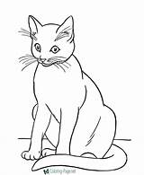 Coloring Cat Printable Pages Cats Below Click sketch template