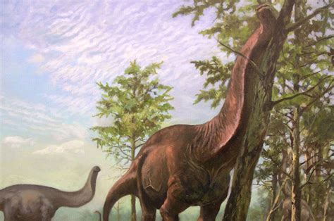 sauropod dinosaurs  restricted  warmer regions  earth
