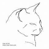 Cat Siamese Coloring Color Drawing Pages Headstudy Drawings Getdrawings Own sketch template