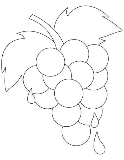 fresh ripe grapes coloring pages   fresh ripe grapes