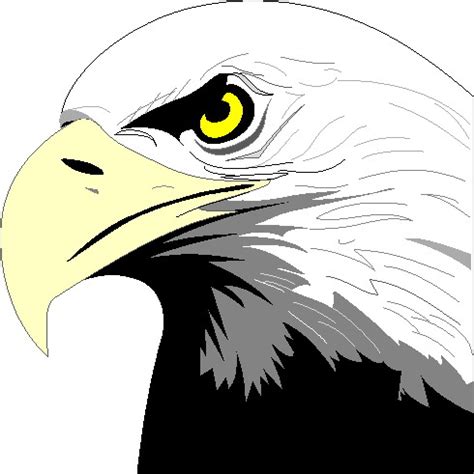 eagle clip art  clipartingcom