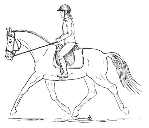 horse  rider drawing  getdrawings