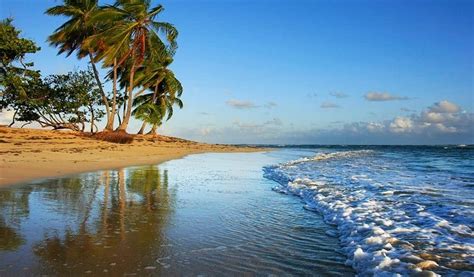 dominican republic travel insurance get a quote and policy