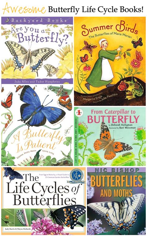 fantastic butterfly life cycle books  kids  creative salad