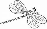 Dragonfly Coloring Pages Kids Printable sketch template