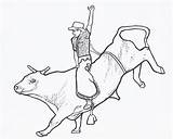 Bull Bucking Bulls Pbr sketch template
