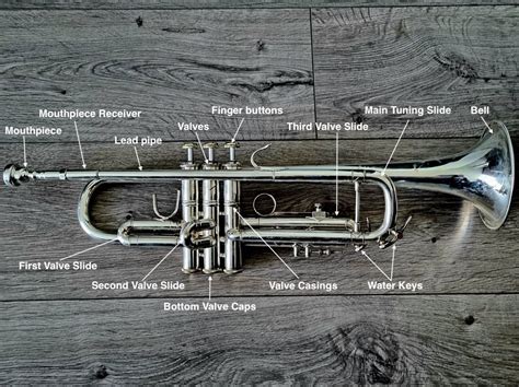 beginner  guide parts   trumpet diagram vrogueco