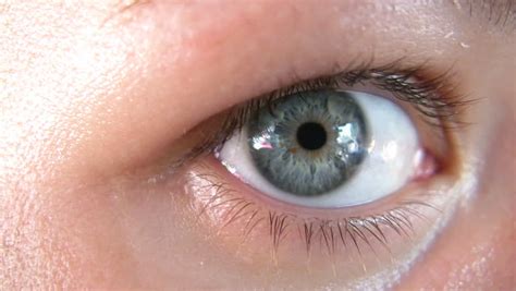 extreme macro of female brown eye stock footage video 525826 shutterstock