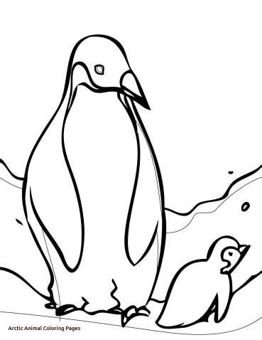 image result  drawing arctic animals penguin coloring animal