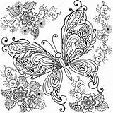 Butterfly Colorear Mariposas Kleurplaat Vlinder Decoratief Getekende Florals Pagina Voor Arte Downloaden sketch template