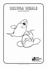 Coloring Beluga Whale Pages Garlic Cool Print Vegetables Onion sketch template