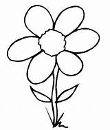 Flower Tracing Drawing Kids Easy Outline Coloring Pages sketch template