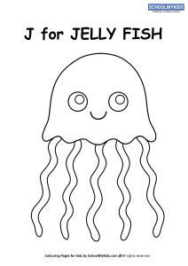 jellyfish coloring page worksheet  preschoolkindergarten