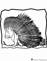 Porcupine Coloring Pages Clipart Cliparts Animal Library Cartoon sketch template