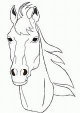 Horse Ausmalbilder Pferde Drawing Halter Caballos Malvorlagen sketch template