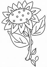 Sonnenblume Malvorlagen Letzte sketch template