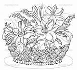 Basket Flower Drawing Pencil Flowers Drawings Shading Baskets Vector Coloring Pages Lily Embroidery Color Bouquet Colouring Adults Clipart Illustration Contours sketch template