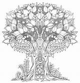 Coloring Forest Enchanted Pages Tree Printable Book Basford Adult Johanna Para Mandala Garden Lonely Adults Trees Sheets Colorear Colorir Color sketch template