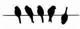 Birds Wire Stencil Silhouette Five Made Mat Ply Board 5x7 24x36 Choose Size Getdrawings sketch template