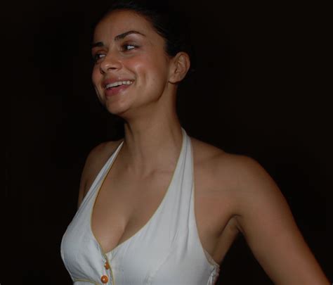 Gul Panag Hot Photo Gallery Saree Sexy Pictures