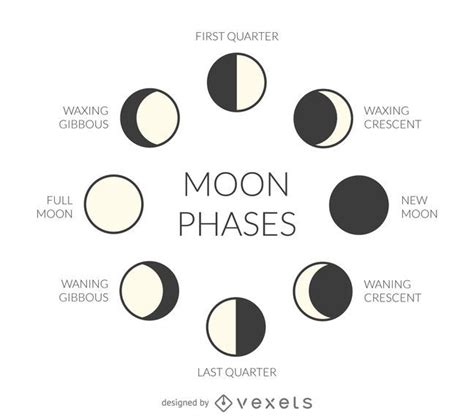 phases   moon drawing activity