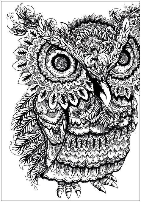 owl  big big eyes owl coloring pages  printable coloring