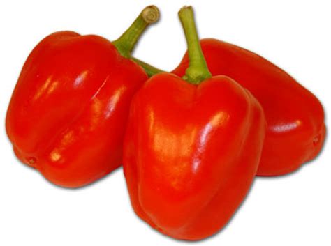 mini paprika rot fruits friends