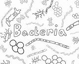 Coloring Lowgif Germs Amnhnyc Microbe sketch template