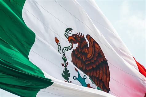 clase digital  el estado mexicano nociones generales licenciatura