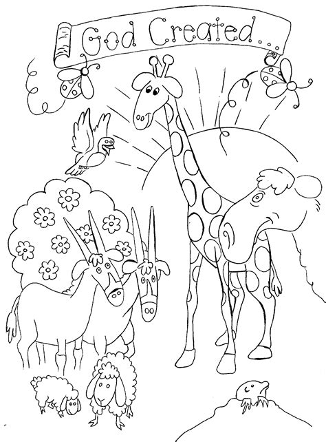 coloring pages  days  creation