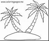 Palm Coloring Tree Pages Coconut Drawing Getdrawings Leaf Getcolorings Leaves Unsurpassed sketch template