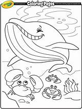 Crayola Balena Whale Ausmalbilder Printable Wal Ausmalen Malvorlagen sketch template