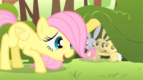 image filly fluttershy calming critters s1e23 png my