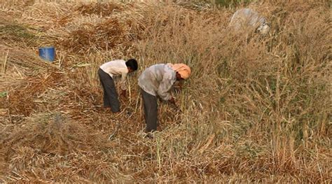 benefits  landless farmers  pm kisan govt india news