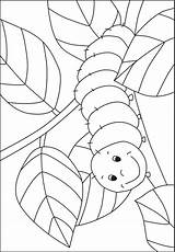 Caterpillar Coloring Pages Preschool Template Kindergarten Kids Hungry Pre Bug Raupe Nimmersatt Kigaportal Schmetterling Printable Crafts Kinder Butterfly Theme Print sketch template